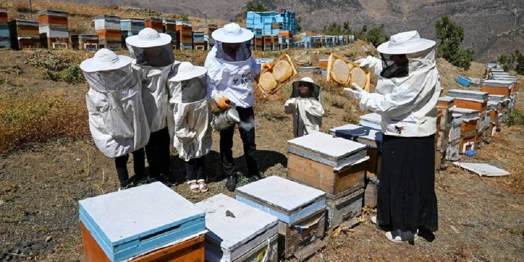 Şehirdeki kariyerini bıraktı, doğayla kazanmaya başladı: Ailesi en büyük yardımcısı: 3 yılda kazancını katladı! 7